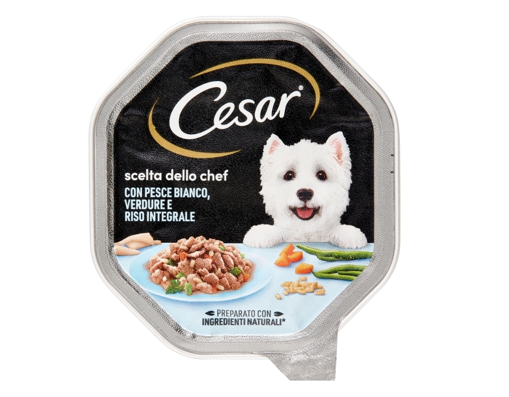 CESAR CHEF
